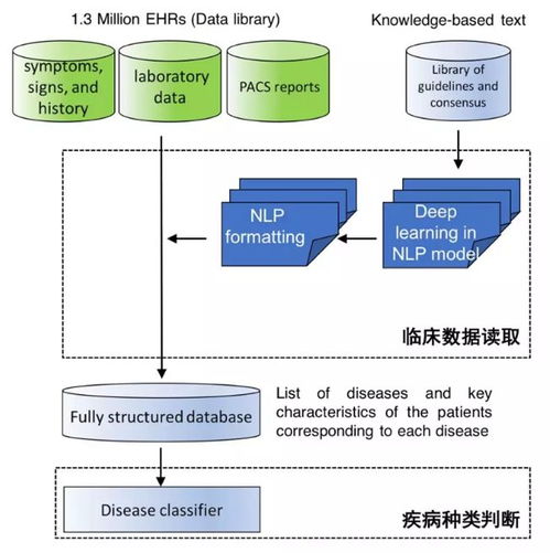 中國AI登上Nature子刊 讀懂病歷、推薦診斷，準(zhǔn)確度超越人類醫(yī)生